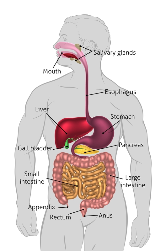 Could It Be Your Gallbladder